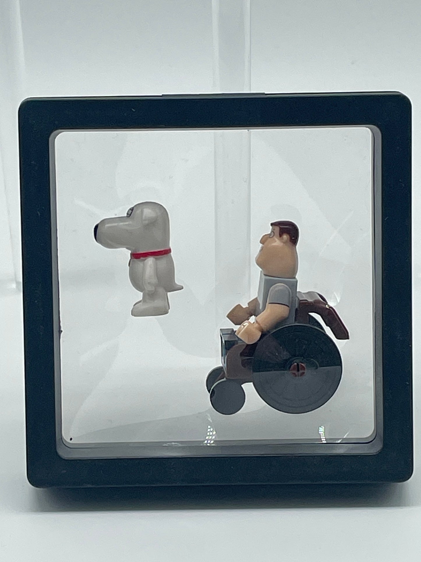 Family Guy- Joe Swanson