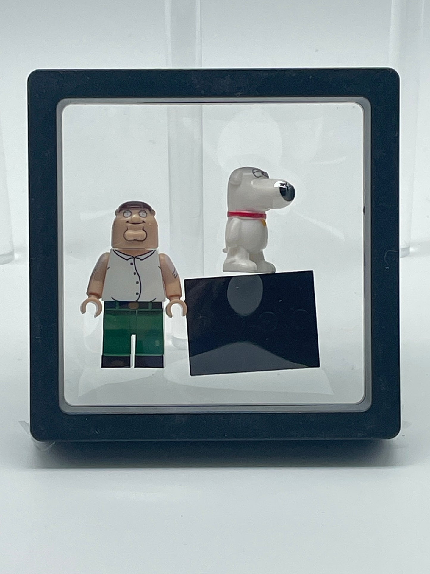 Family Guy- Peter Griffin.