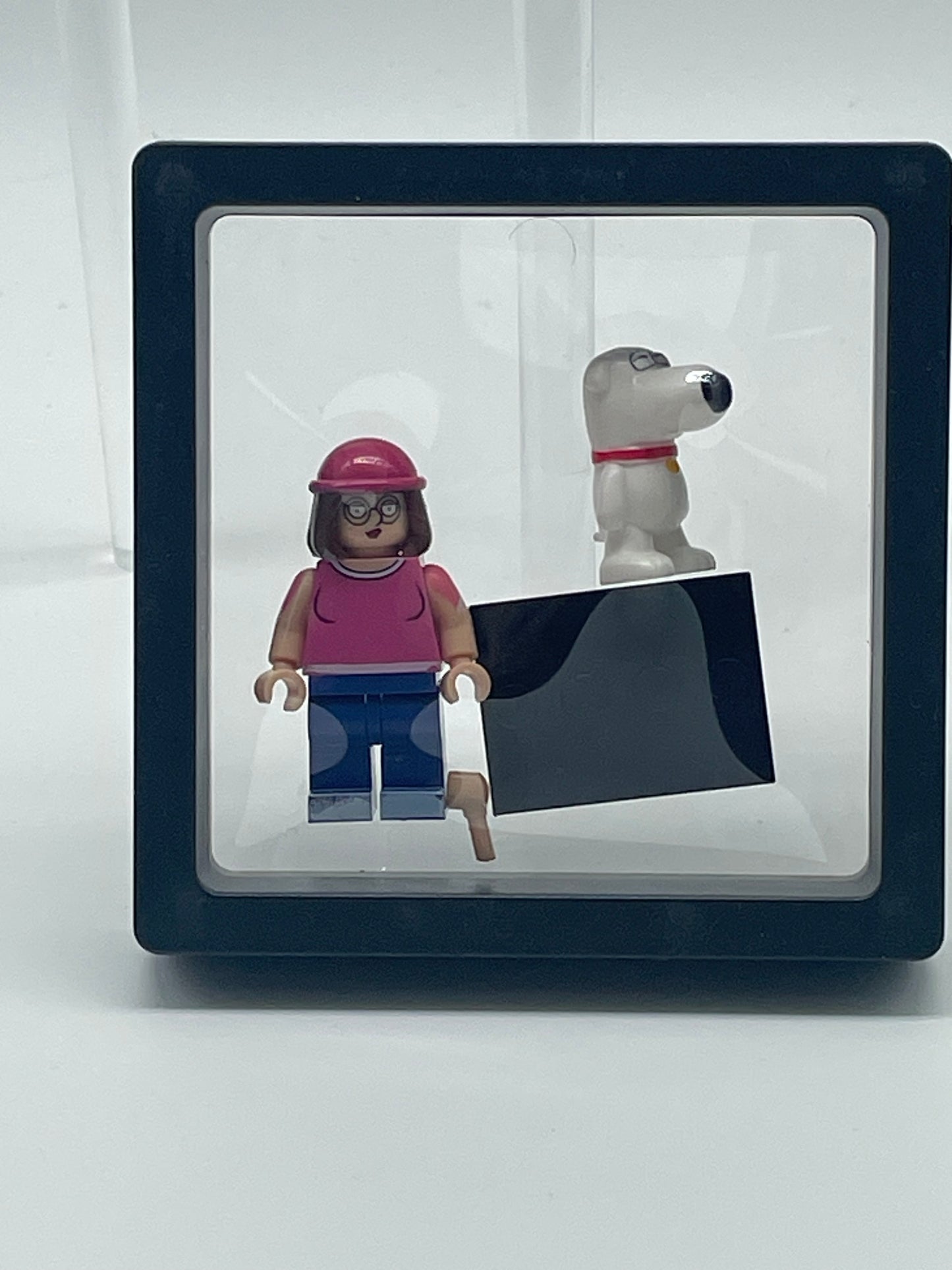 Family Guy- Meg Griffin.
